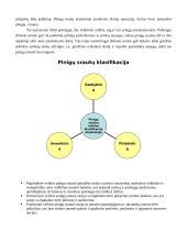 Pinigų srautai 3 puslapis