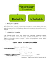 Pinigų srautai 4 puslapis