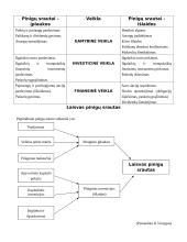 Pinigų srautai 5 puslapis