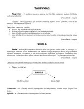 Pinigų srautai 6 puslapis