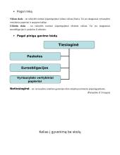 Pinigų srautai 7 puslapis