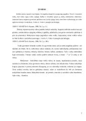 Pirmosios vaiko dienos mokykloje 2 puslapis