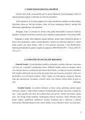 Pirmosios vaiko dienos mokykloje 3 puslapis