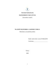 Planinė ekonomika. Gamybos veikla