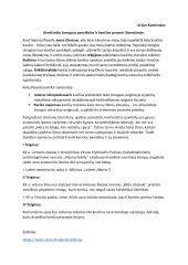 Kenčiančio žmogaus paveikslas ir kančios prasmė literatūroje. Planas