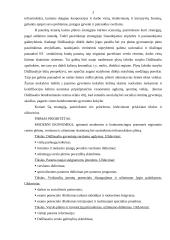 Plėtros strategija: Didžiasalis 3 puslapis