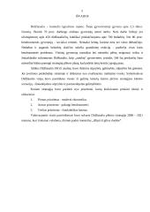 Plėtros strategija: Didžiasalis 5 puslapis