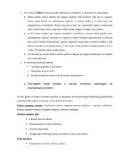 Būtinoji medicinos pagalba 2 puslapis