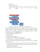 Būtinoji medicinos pagalba 13 puslapis