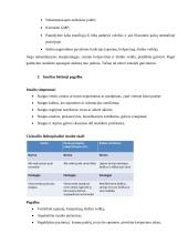 Būtinoji medicinos pagalba 4 puslapis