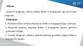 Slaugytojų vaidmuo širdies ir kraujagyslių ligų prevencinės programos įgyvendinime 2 puslapis