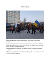 Piliečių dalyvavimo formos 12 puslapis