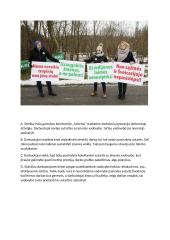 Piliečių dalyvavimo formos 3 puslapis