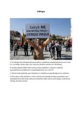 Piliečių dalyvavimo formos 6 puslapis