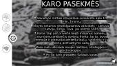 11 Klasės informatikos PowerPoint baigiamasis darbas 8 puslapis