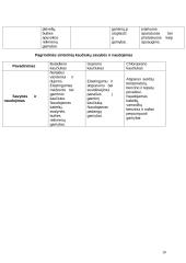 Chemijos projektas apie polimerus 11 puslapis