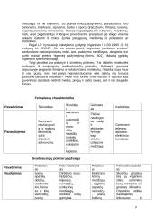Chemijos projektas apie polimerus 10 puslapis