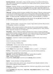 Meninės priemonės kalboje 2 puslapis