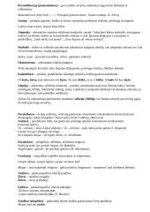 Meninės priemonės kalboje 3 puslapis