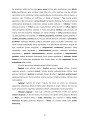 Populiarūs semantizmai bei daromos klaidos 12 puslapis