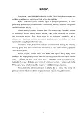 Populiarūs semantizmai bei daromos klaidos 13 puslapis