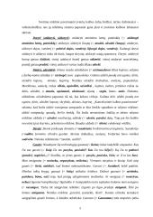 Populiarūs semantizmai bei daromos klaidos 5 puslapis