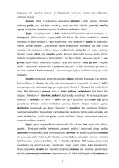 Populiarūs semantizmai bei daromos klaidos 6 puslapis