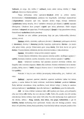 Populiarūs semantizmai bei daromos klaidos 8 puslapis