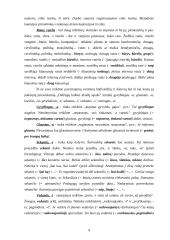 Populiarūs semantizmai bei daromos klaidos 9 puslapis