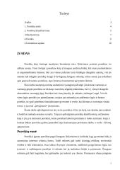 Poreikiai. Esmė, klasifikavimas, realizavimas 2 puslapis