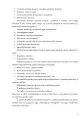 Poreikiai. Esmė, klasifikavimas, realizavimas 4 puslapis