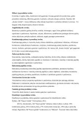 Įmonės AB „Kauno grūdai“ analizė 5 puslapis