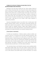 Įmonės „Finbee“ analizė 12 puslapis