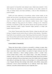 Įmonės „Finbee“ analizė 13 puslapis