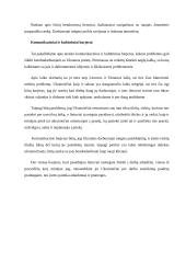 Įmonės „Finbee“ analizė 14 puslapis