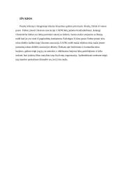 Įmonės „Finbee“ analizė 15 puslapis