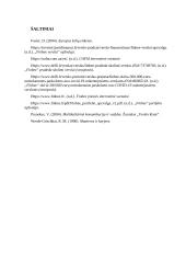 Įmonės „Finbee“ analizė 16 puslapis