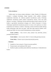 Įmonės „Finbee“ analizė 4 puslapis