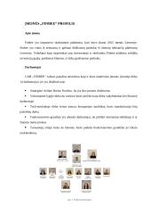 Įmonės „Finbee“ analizė 5 puslapis