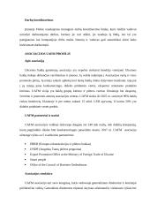 Įmonės „Finbee“ analizė 6 puslapis