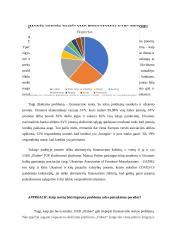 Įmonės „Finbee“ analizė 9 puslapis
