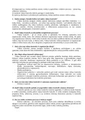 Vidaus kontrolės ir jos vertinimo dalyko egzamino klausimai 2 puslapis