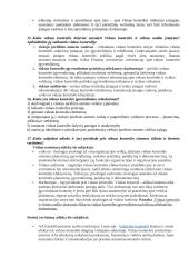 Vidaus kontrolės ir jos vertinimo dalyko egzamino klausimai 4 puslapis