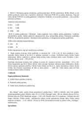 Finansinio audito užduotys 13 puslapis