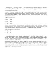 Finansinio audito užduotys 14 puslapis