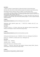 Finansinio audito užduotys 4 puslapis