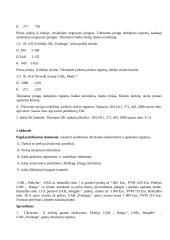 Finansinio audito užduotys 6 puslapis