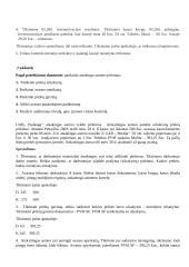 Finansinio audito užduotys 10 puslapis