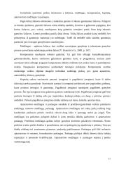 Prekių samprata 11 puslapis