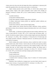 Prekių samprata 15 puslapis